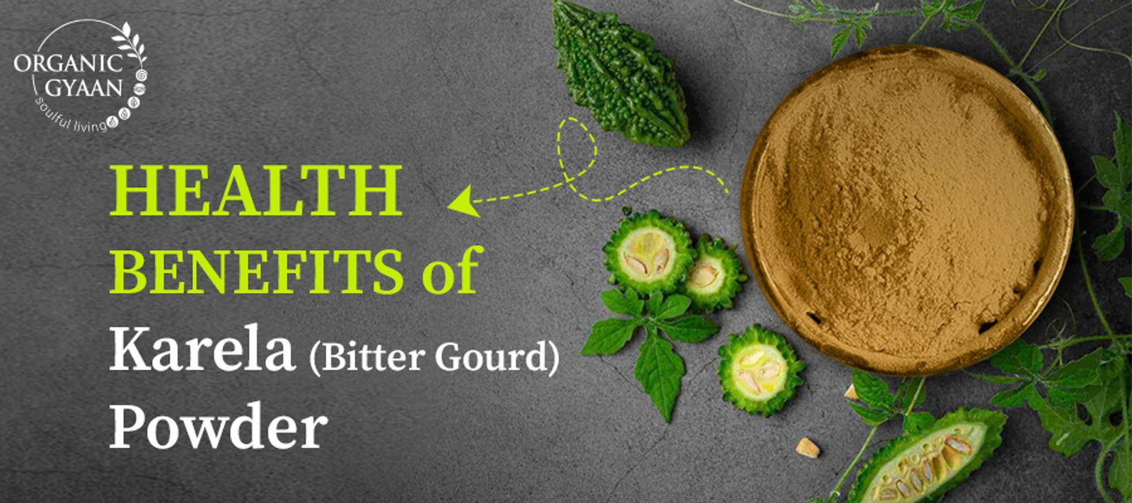 7 Incredible Health Benefits of Karela (Bitter Gourd) Powder
