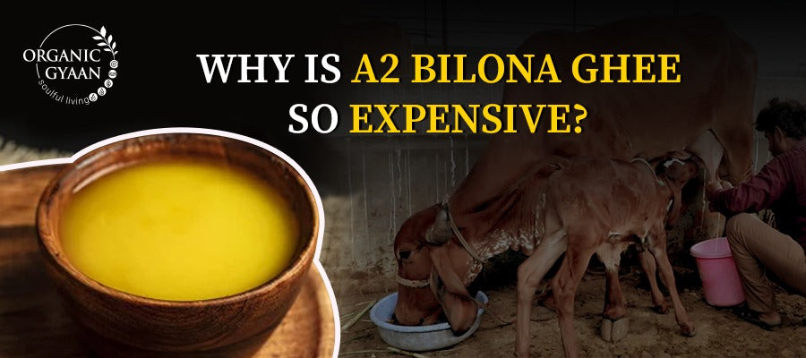 Why Is A2 Bilona Ghee So Expensive?