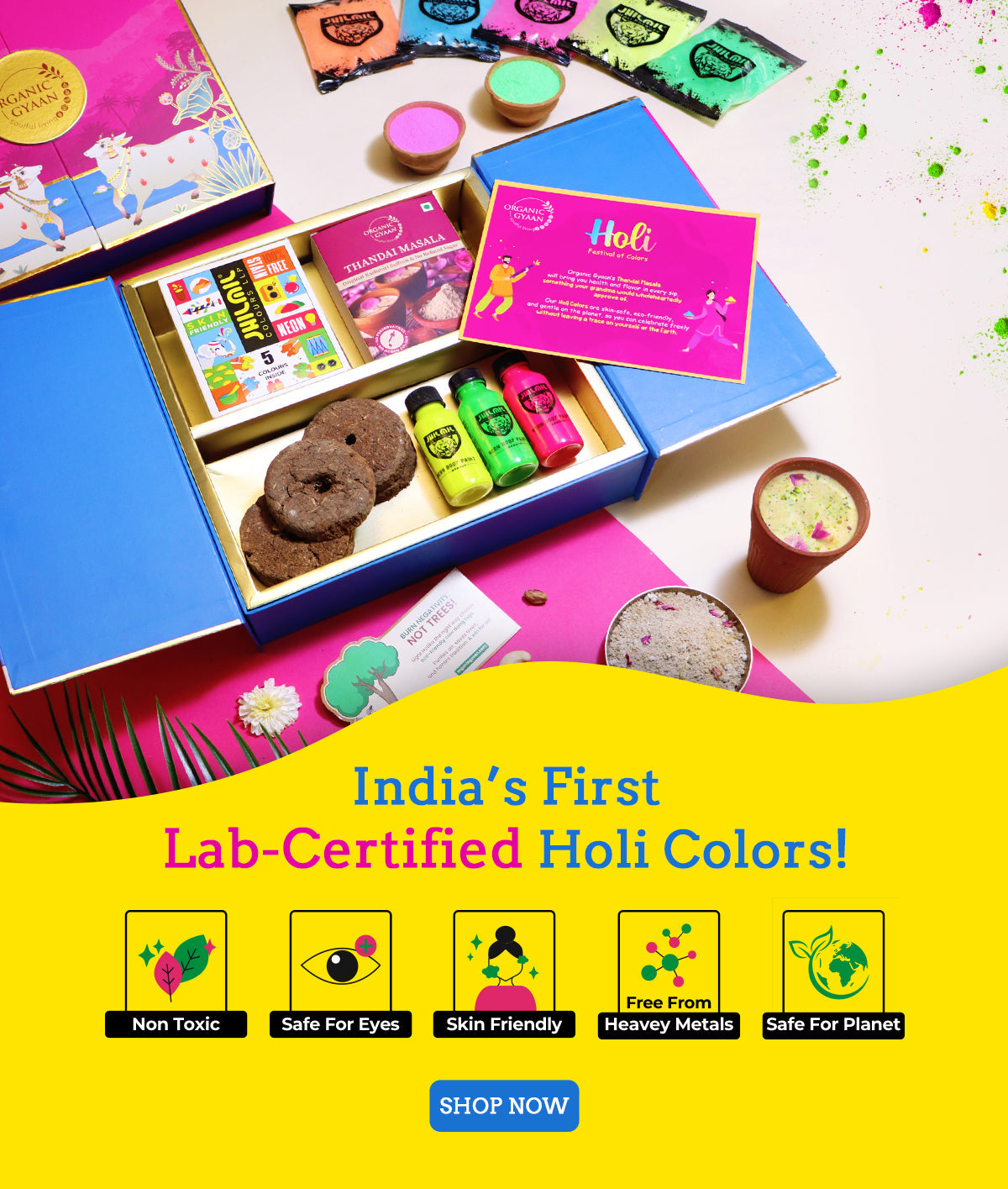 Holi Colours