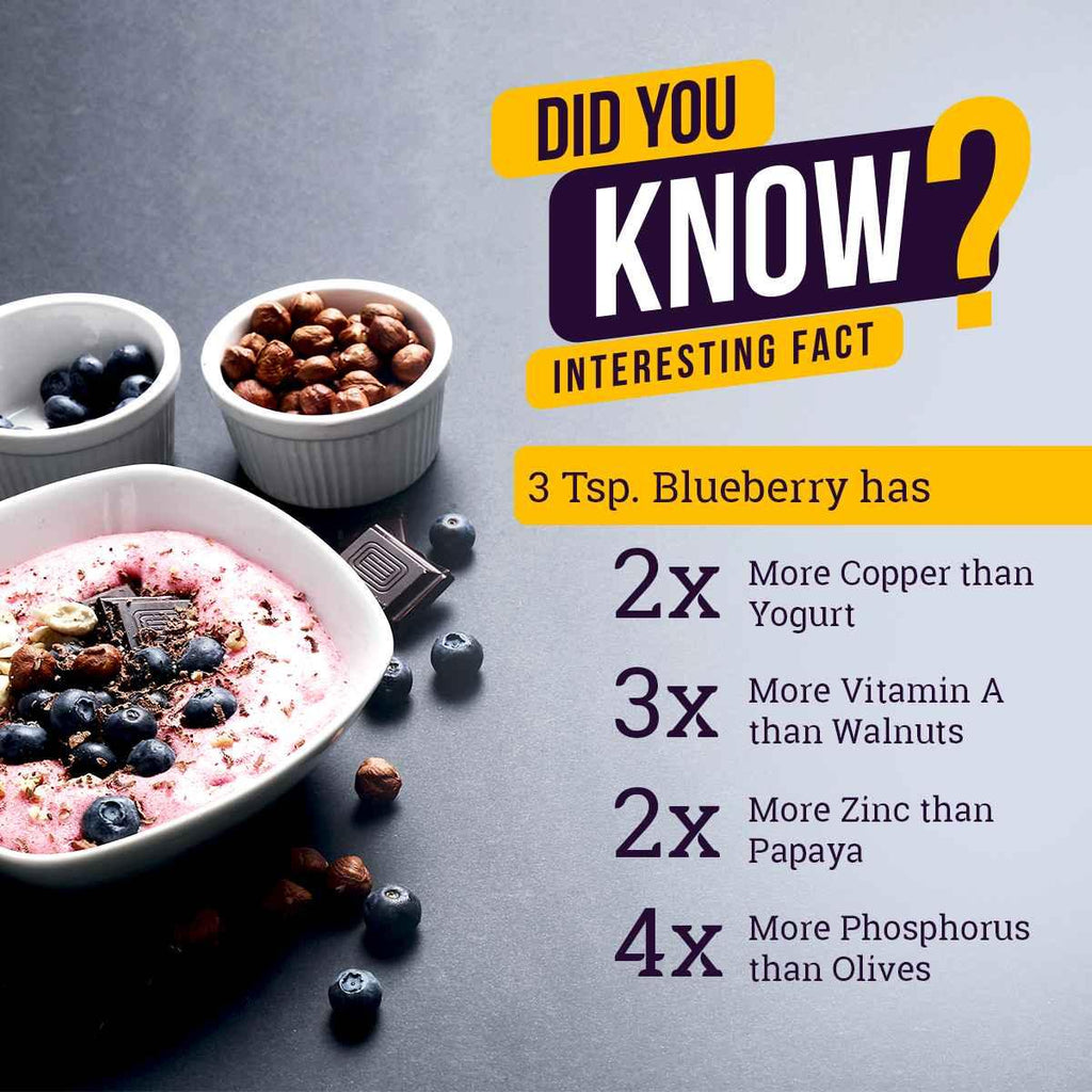 Dried blueberries facts