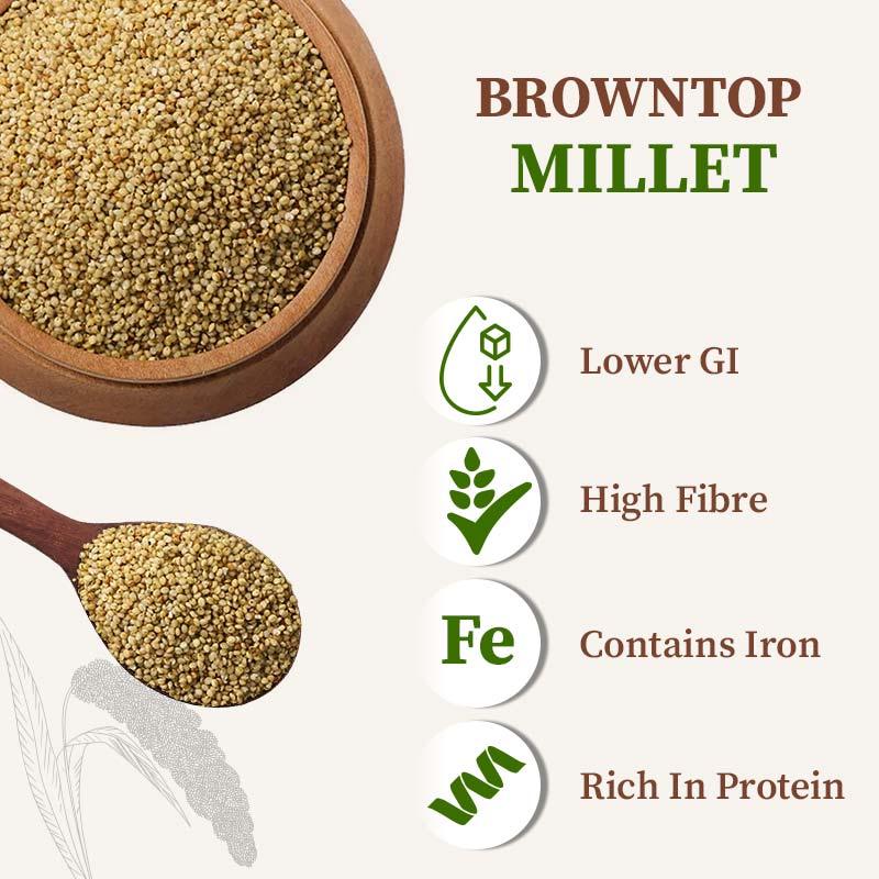 brown top millet nutrition