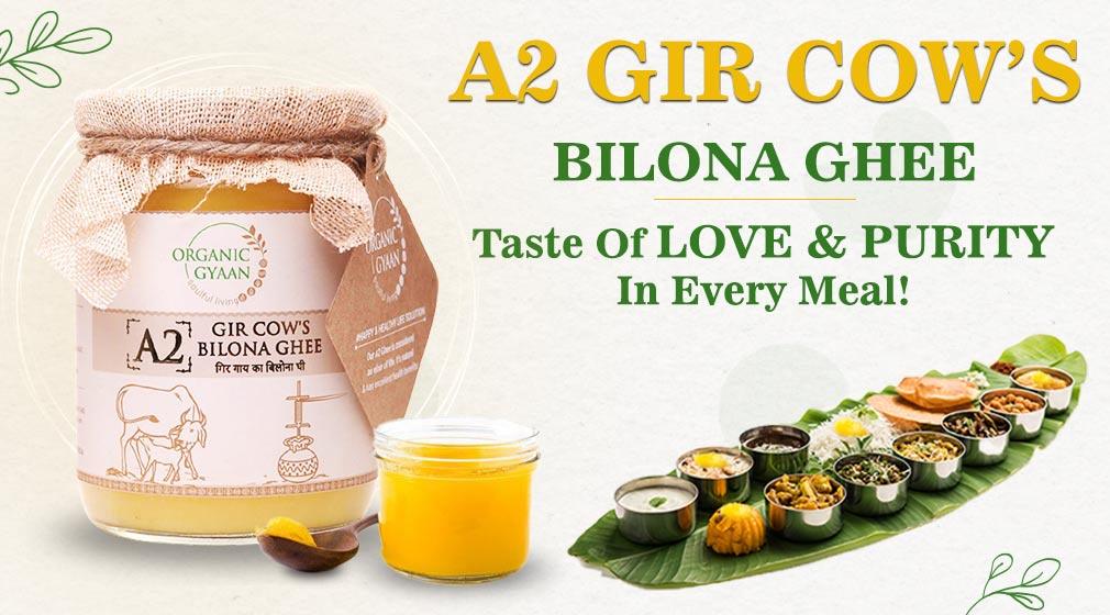 Why A2 Bilona Ghee Should Be Included In Every Meal! - Organic Gyaan