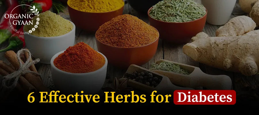 6 Effective Herbs for Diabetes