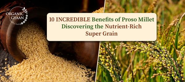 benefits of proso millet