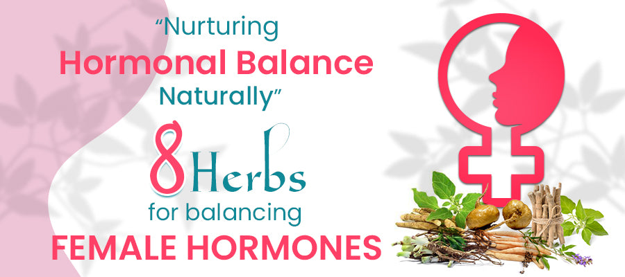 herbs to balance harmones