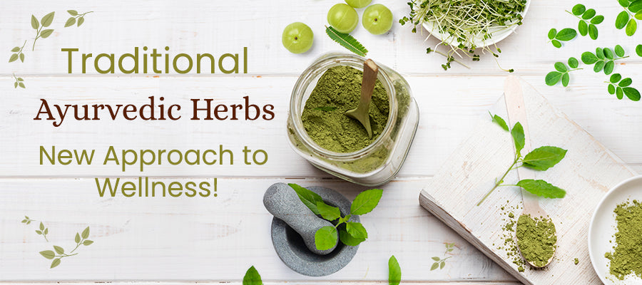 10 Incredible Ayurvedic Herbs and their Benefits