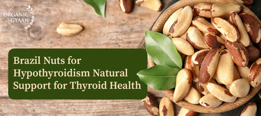 Brazil Nuts for Hypothyroidism: Natural Thyroid Health Support