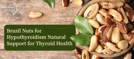 Brazil Nuts for Hypothyroidism: Natural Thyroid Health Support
