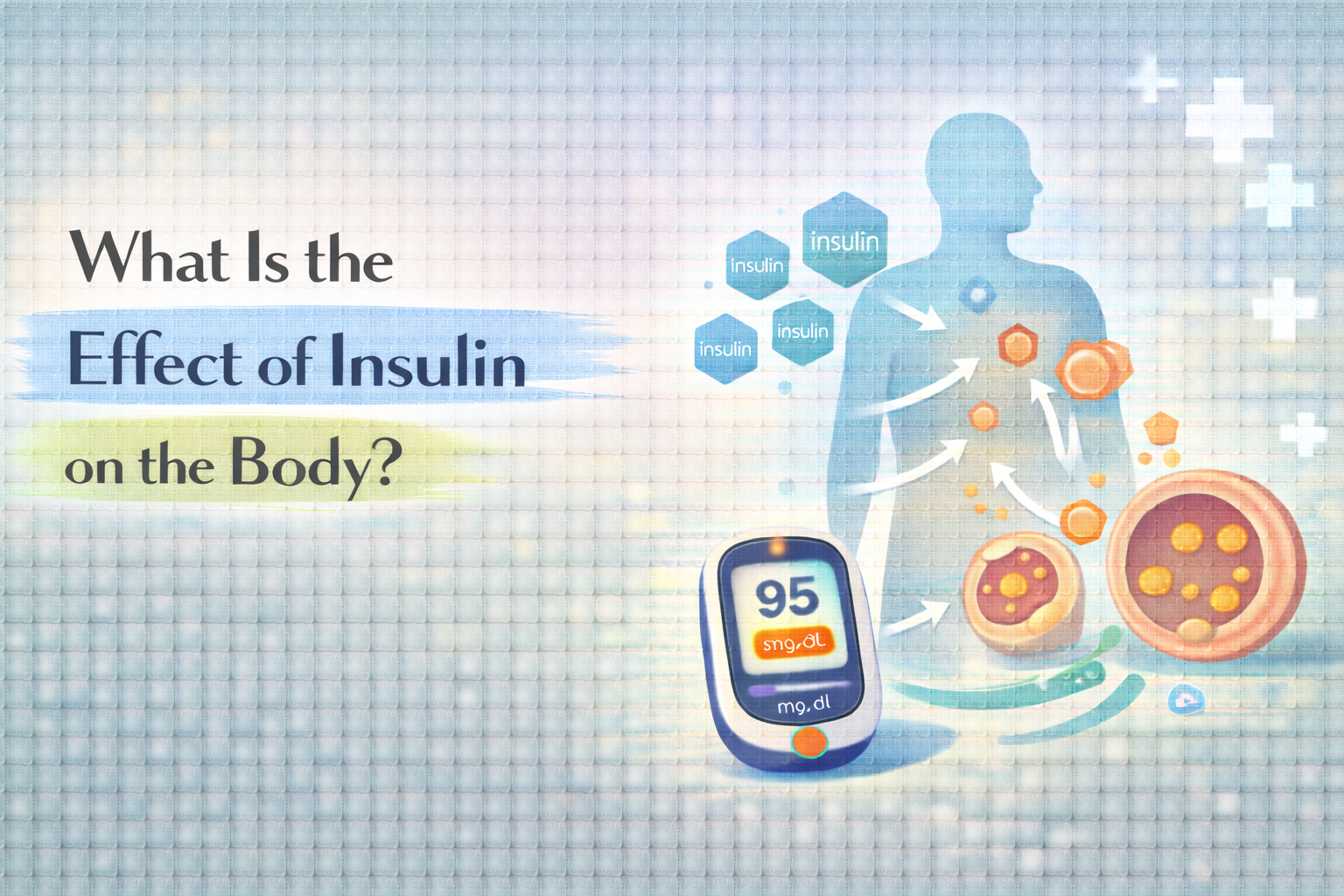 How Insulin Affects the Body and Blood Sugar Control
