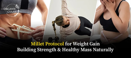 Millet Protocol for Weight Gain: Building Strength & Healthy Mass Naturally