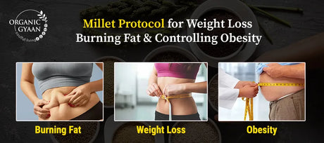 Millet Protocol for Weight Loss: Burning Fat & Controlling Obesity