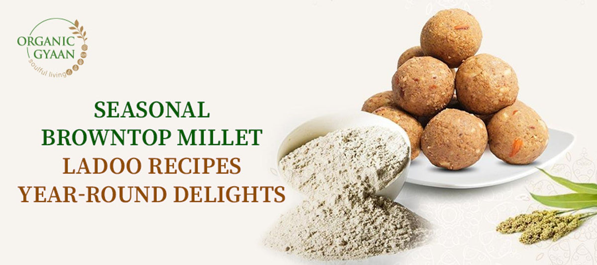 Brown Top Millet Ladoo Recipe: Seasonal Delights