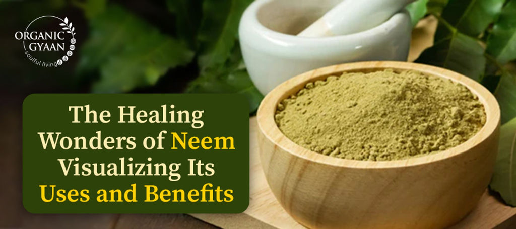 Neem: benefits and its uses