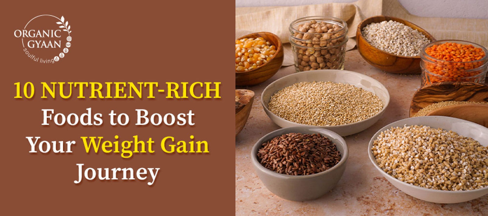 Top 10 Weight Gain Foods for Nutrient-Rich Diet – Organic Gyaan