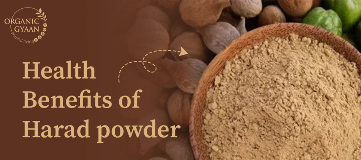 Top 7 Health Benefits of Harad (Haritaki) Powder – Organic Gyaan