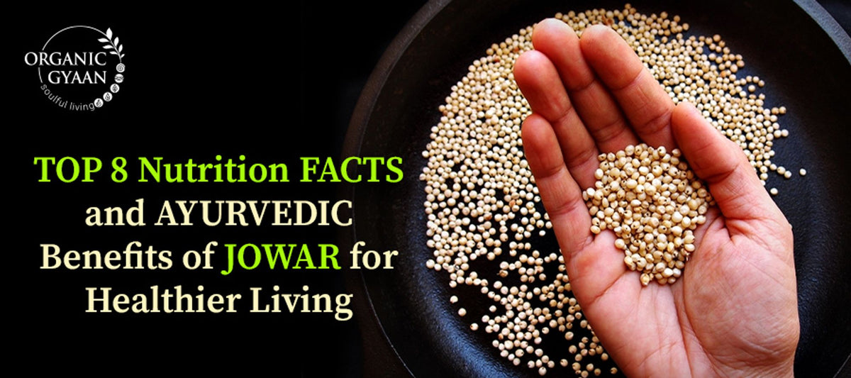 7 Key Jowar Benefits for Health Nutrition & Ayurveda Organic Gyaan