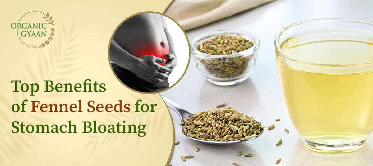 Top Benefits of Fennel Seeds for Stomach Bloating Organic Gyaan