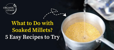 What to Do with Soaked Millets? 5 Easy Recipes to Try