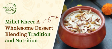Millet Kheer: A Wholesome Dessert Blending Tradition and Nutrition