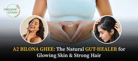 A2 Bilona Ghee: The Natural Gut-Healer for Glowing Skin & Strong Hair