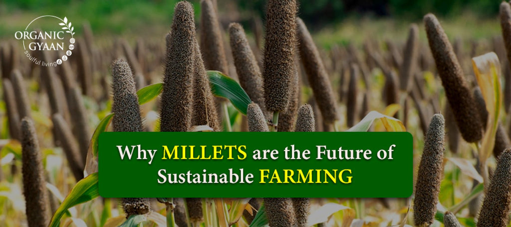 Why millets are the future of sustainable farming