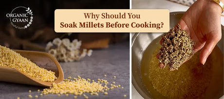 Why Should You Soak Millets Before Cooking?