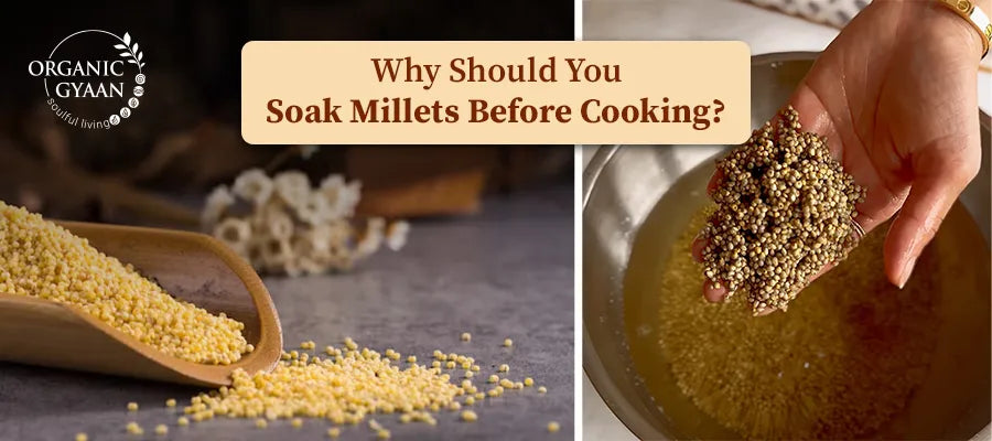 Why Should You Soak Millets Before Cooking?