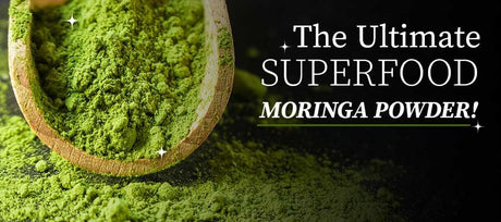 health benefits of moringa powder