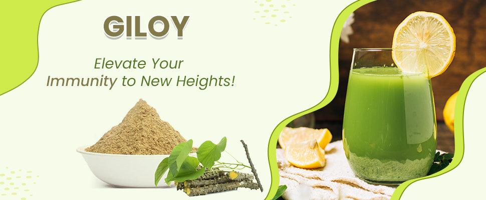 Health Advantages of Giloy- The Super Immune Booster - Organic Gyaan