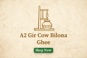 A2 Gir Cow Bilona Ghee