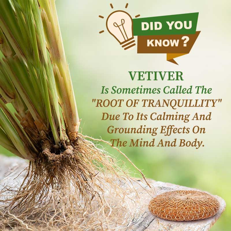 Vetiver Roots - Organic Gyaan