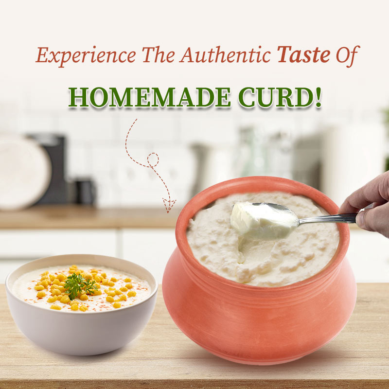 Homemade curd taste in curdpot
