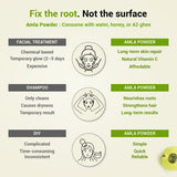 आवळा पावडर