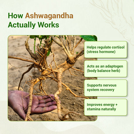 Ashwagandha Powder