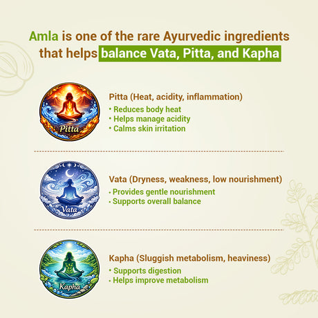 Amla Powder