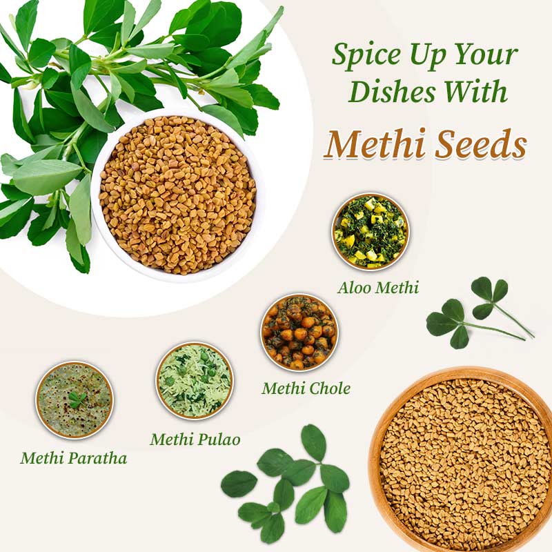 Buy Premium Quality Fenugreek (Methi) Online – Organic Gyaan