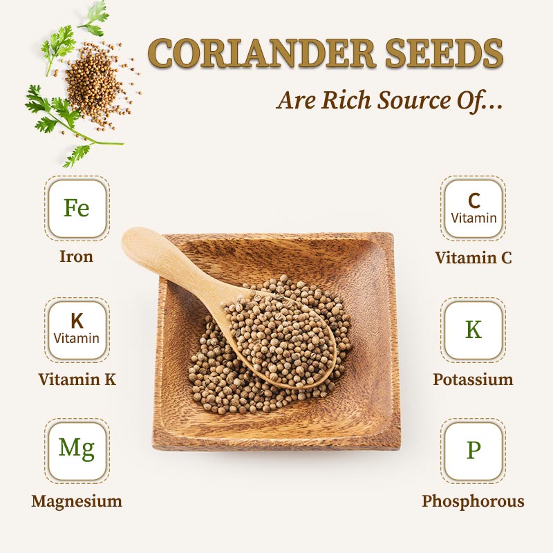 coriander seeds nutrients
