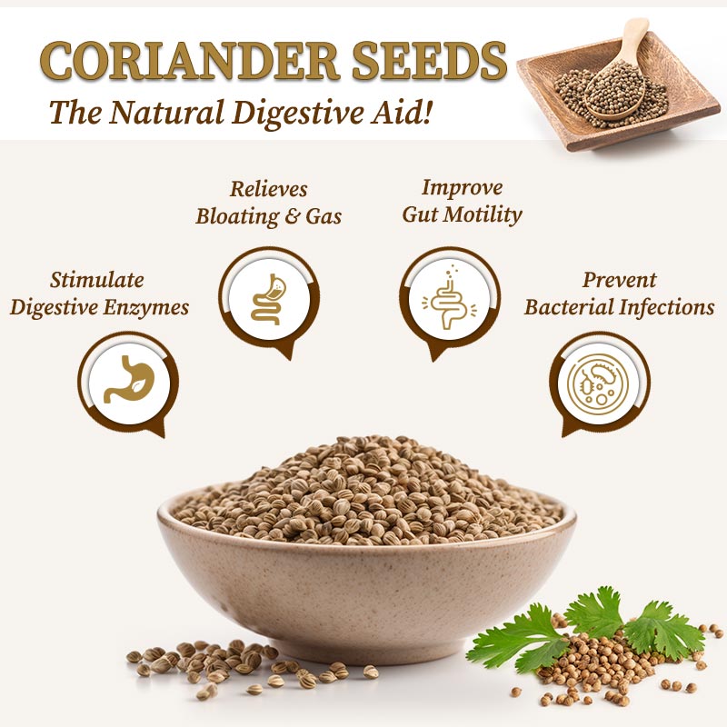 Digestive aid coriander seeds
