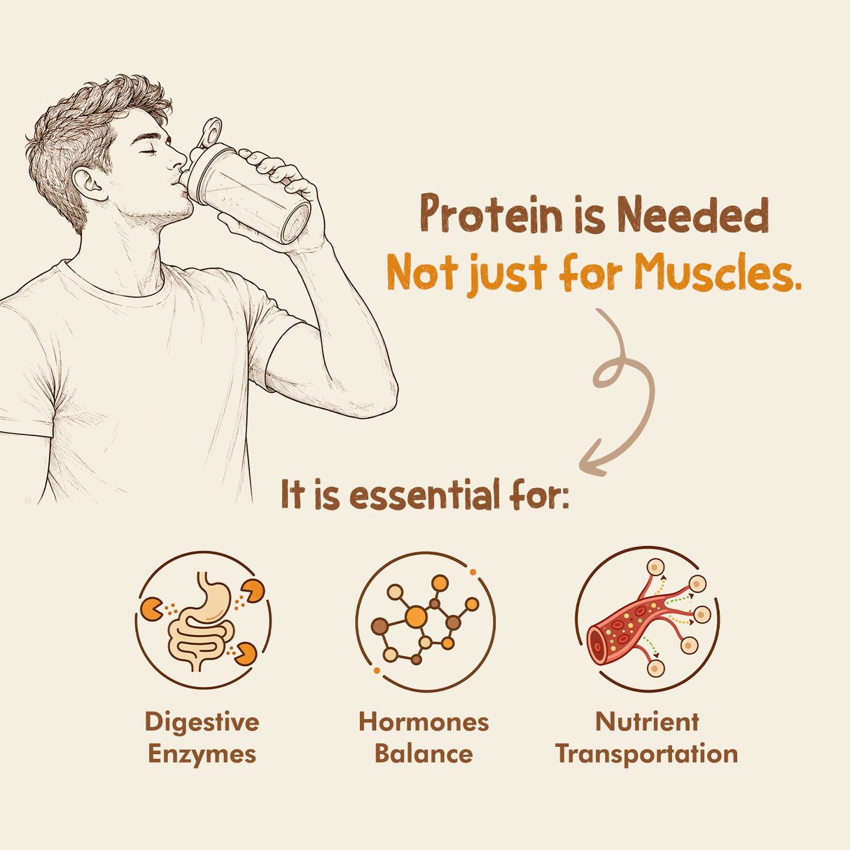 Plant Protein | Premium Dutch Cocoa - 1 Kg (25g Protein Per Scoop)