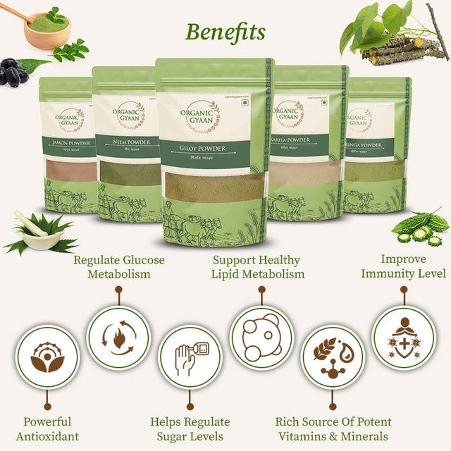 Ayurvedic Blood Sugar Management Combo - Organic Gyaan