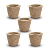 Indoor Plants - Small Cow Dung Pots - Pack of 5