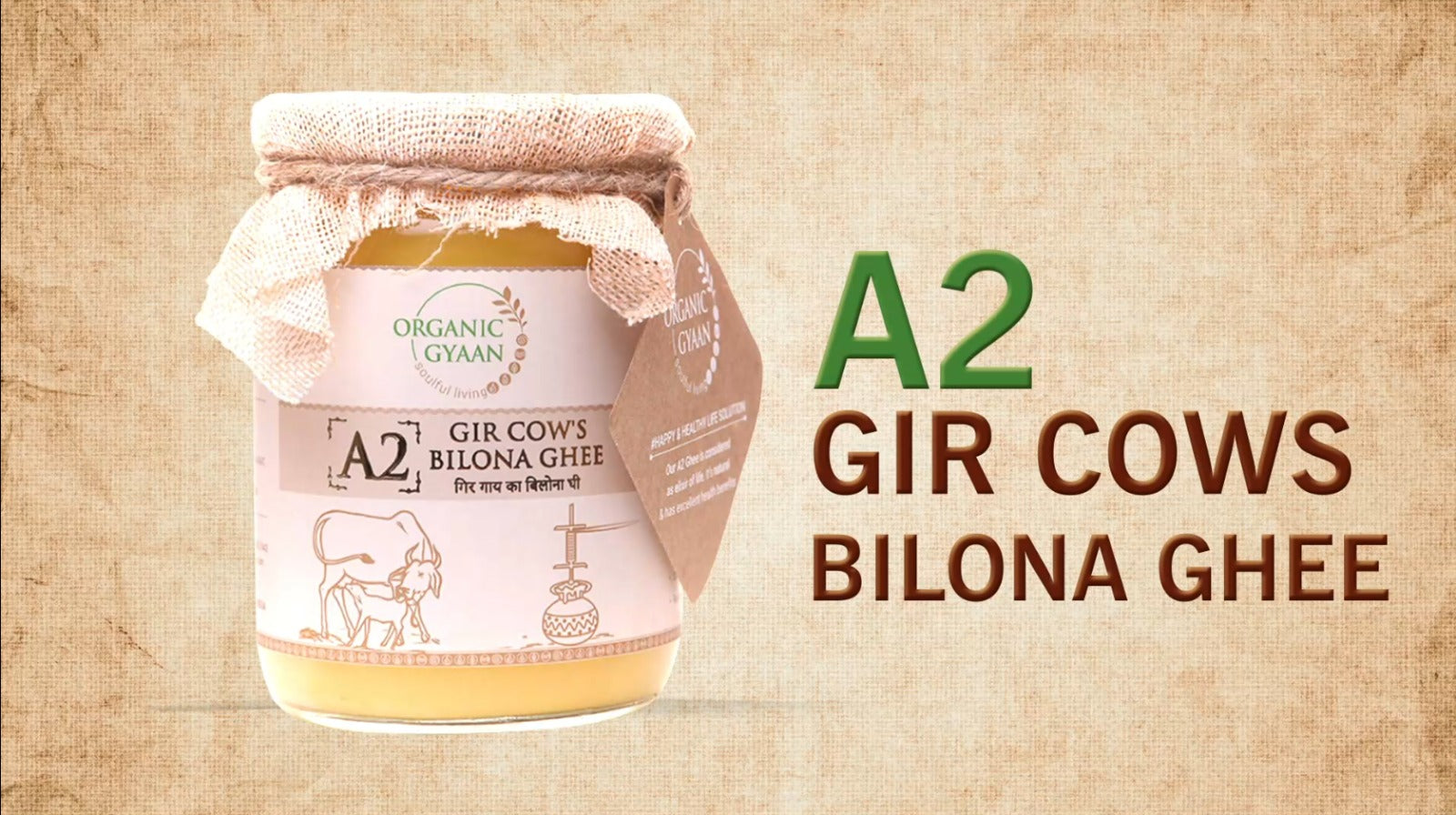 A2 ghee