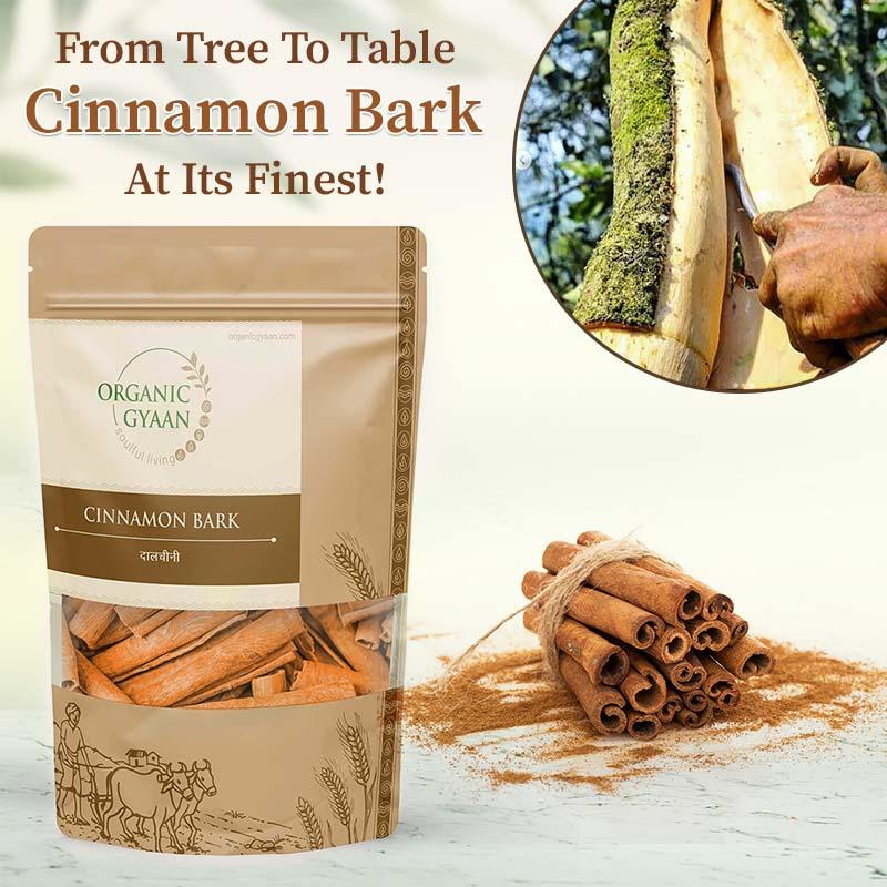 Cinnamon Bark by Organic Gyaan
