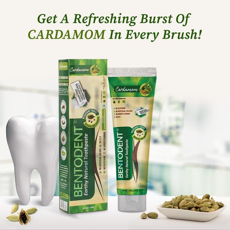 Bentodent cardamom toothpaste by organic gyaan