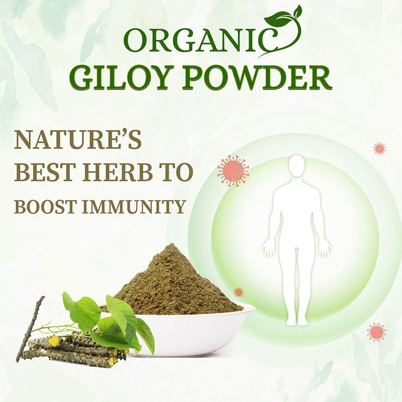 Best organic herb giloy powder