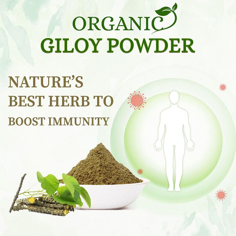 Best organic herb giloy powder