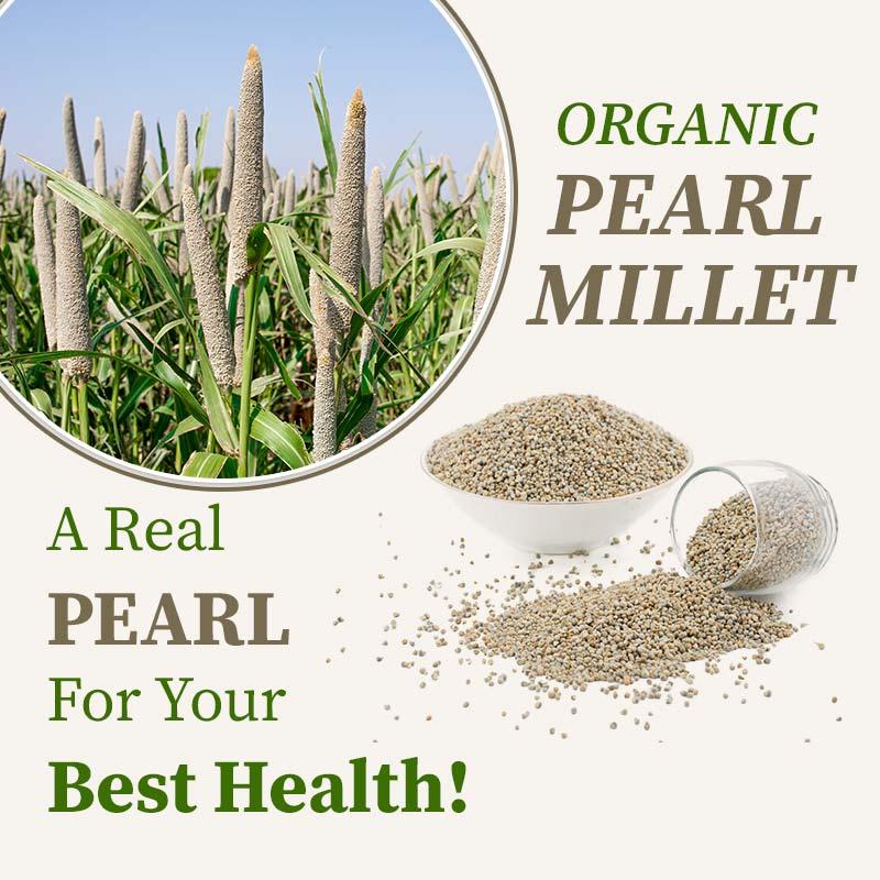 Organic pearl millet 
