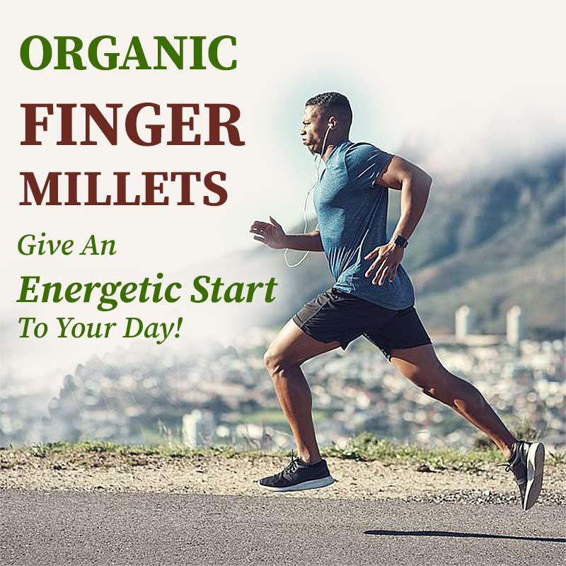 Organic finger millet kickstarts your day
