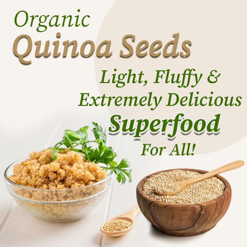 Delicious superfood quinoa seeds 