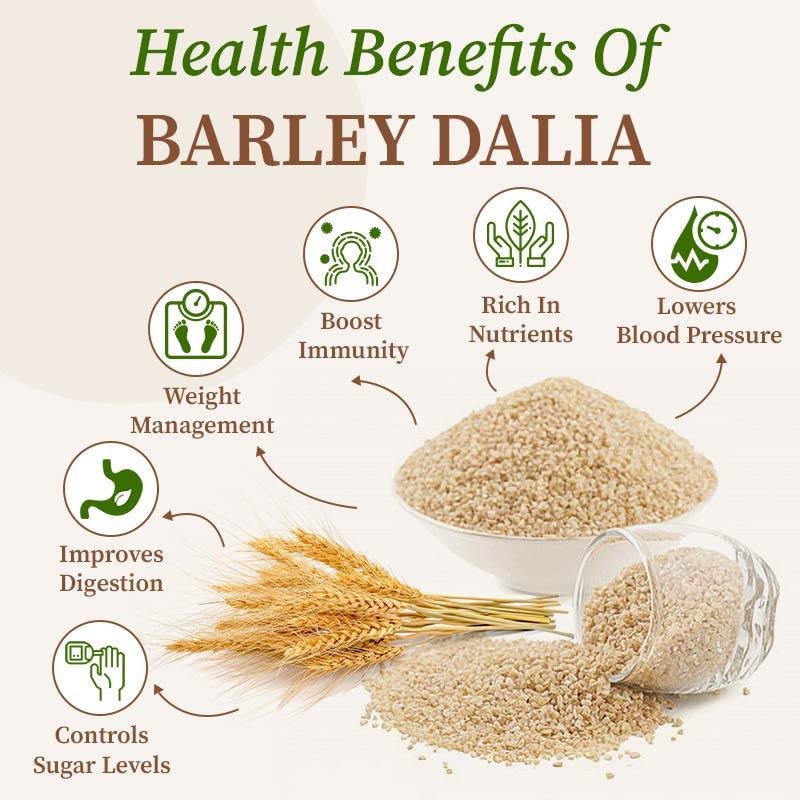barley dalia health benefits